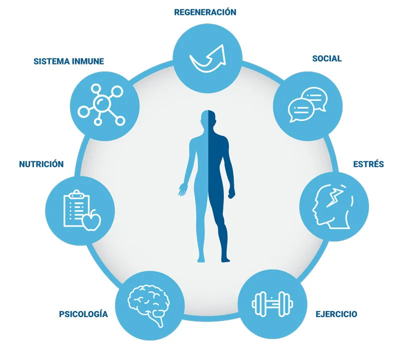 psiconeuroinmunologia santiago de compostela